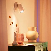 Priza pentru exterior Philips myGarden Rock, impamantare laterala, IP44, 2x module, culoare argintiu, material inox_7