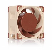Noctua NF-A4x20 FLX Computer case Fan 4 cm Beige, Brown_1