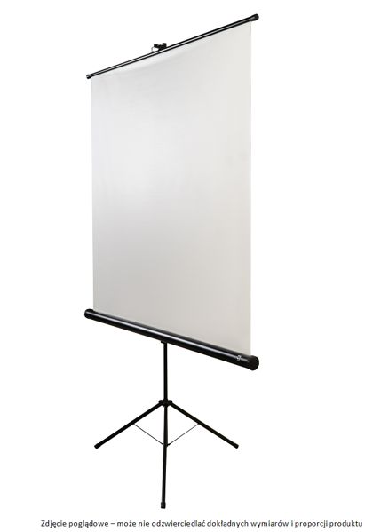 Avtek Tripod Standart 175 projection screen 1:1_1