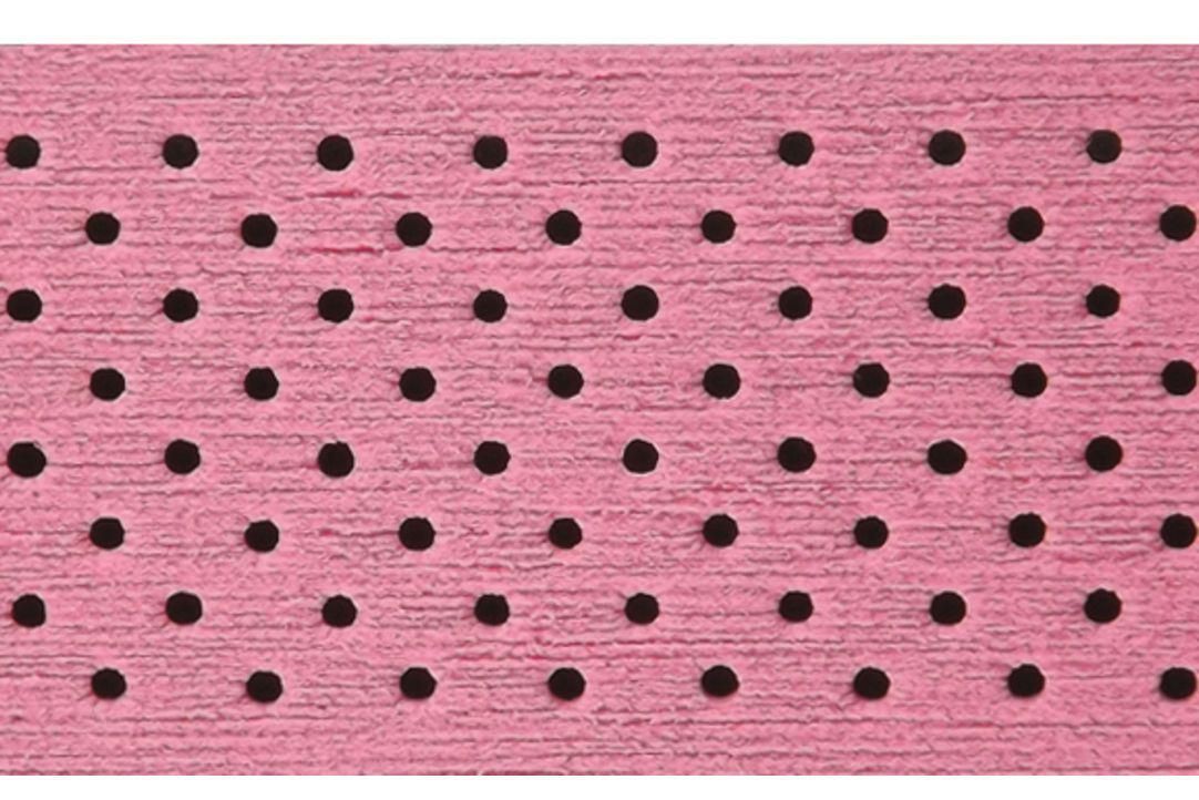 GHIDOLINA SILVA FORELLO ROZ_1