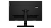 LN ThinkVision T24m-29 23.8