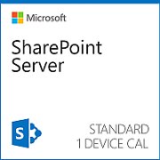 MS OVS SharePoint Std U-Cal Lic/SA ADD 1Y [E]_1
