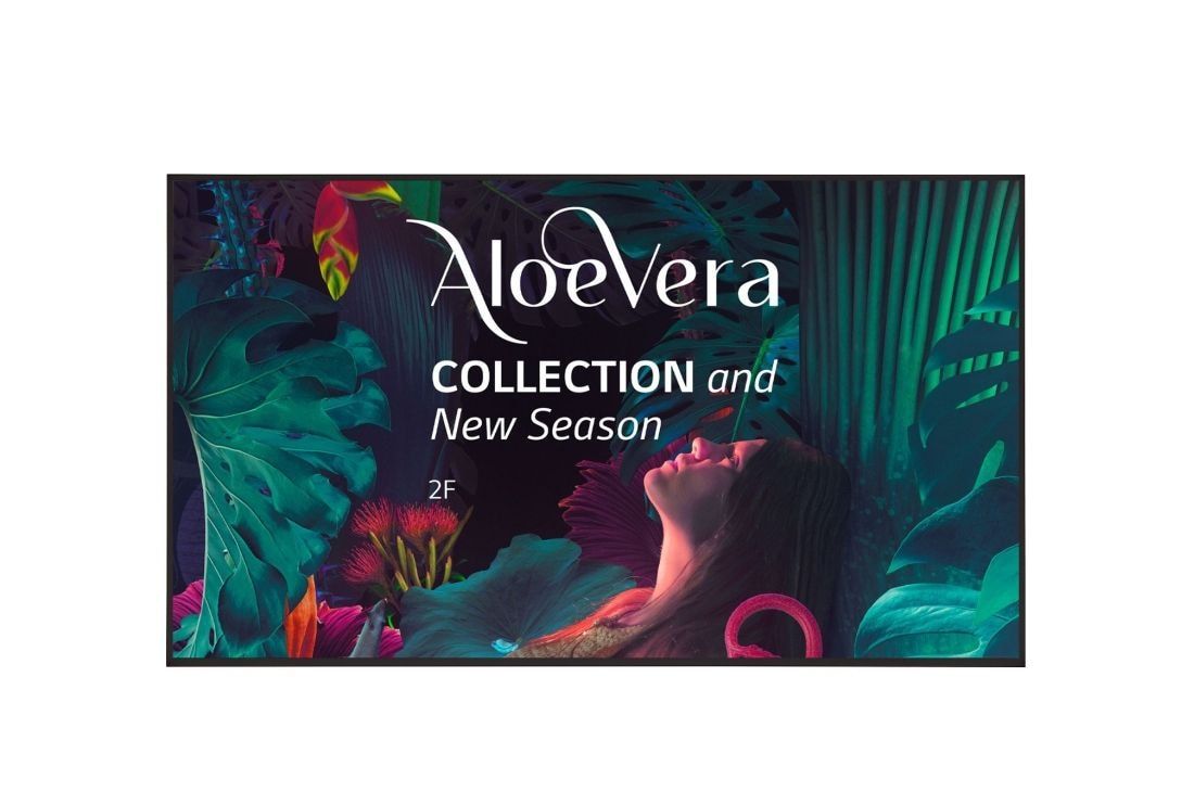 Display profesional LG 55