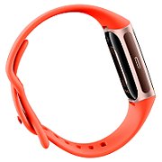 Fitbit Charge 6 OLED Wristband Activity Tracker coral/aluminium gold_3