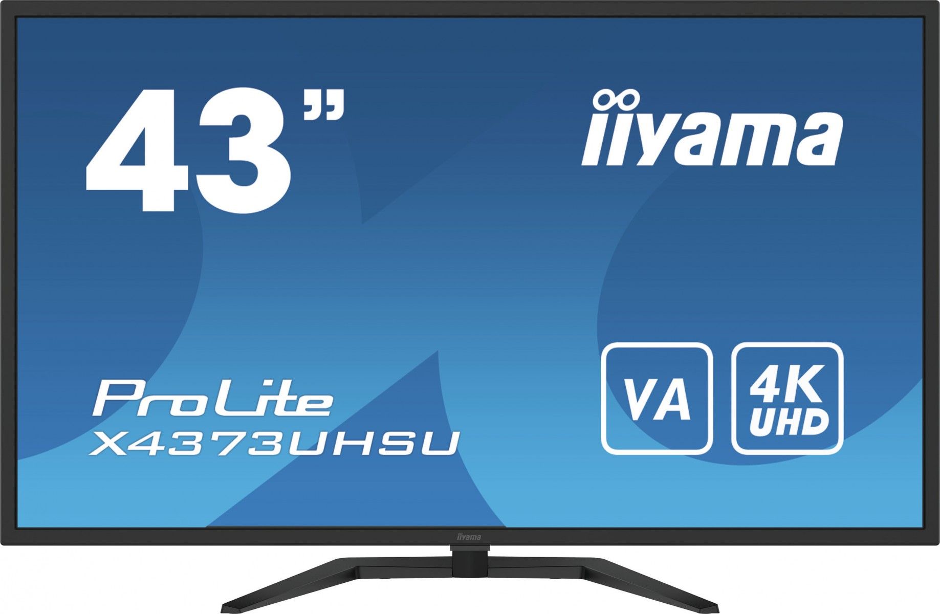 Iiyama Monitor 43