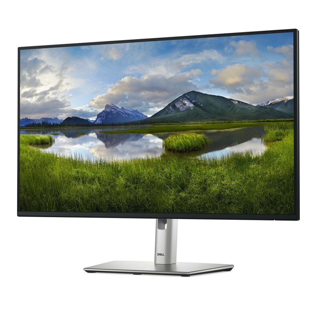 Dell 27 Monitor - P2725H, 68.6cm (27.0