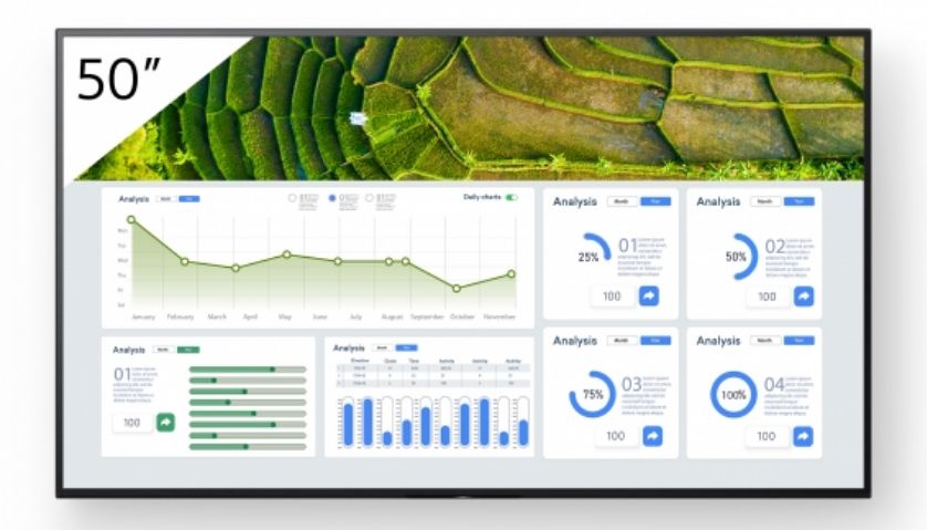 FW-50BZ30L 50INCH PRO/BRAVIA LCD 440NIT_1