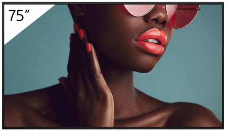 FW-75BZ40L 75INCH PRO/BRAVIA LCD 700NIT HAZE_1