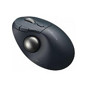 TRACKBALL PRO FIT ERGO TB550/PROFIT ERGO TB550 TRACKBALL UN_2