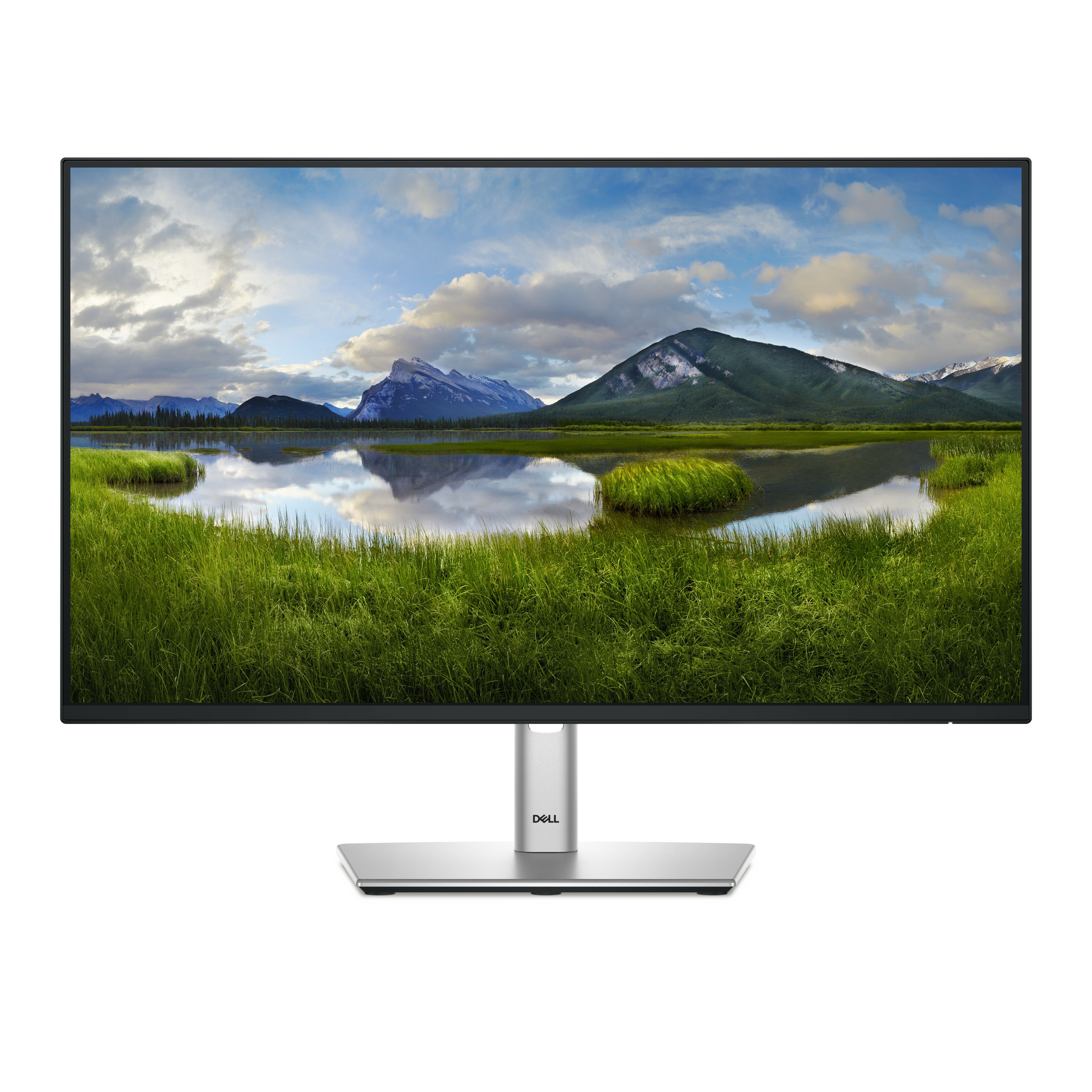DELL 24 USB-C HUB MONITOR -/P2425HE_1