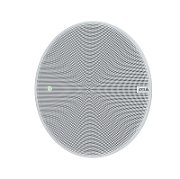 AXIS C1211-E NETWORK CEILING/SPEAKER AXIS C1211-E ALL-IN-ONE_2