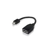 Lenovo DisplayPort adapter - 17.6 cm_1