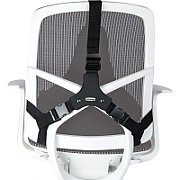 Fellowes Professional back support - Professional Series_4