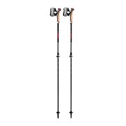 LEKI KIJE Nordic Walking Instructor Lite red_2