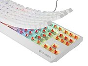 THOR 230 | Mechanical Gaming Keyboard | Wireless | US | White | 2.4 GHz  Bluetooth  USB | Outemu Red_3