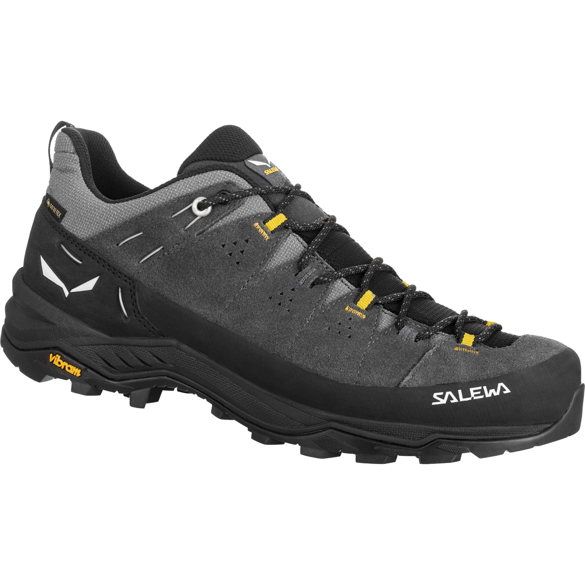 Alp Trainer 2 gtx-onyx-black-uk 9 (43)_4