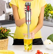 Zelmer ZHB4652 VARIO 0.5 L Immersion blender 1400 W Grey  Silver_15