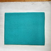 SUPORT MICROFIBRĂ PENTRU VASE TURCOAZ_1