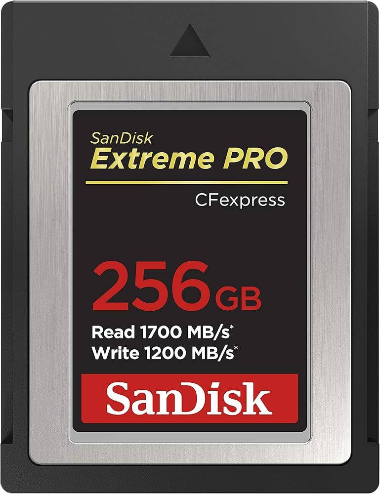 SDCFEXPRESS 256GB EXTREME PRO/1700MB/S R 1200MB/S W 4X6_1