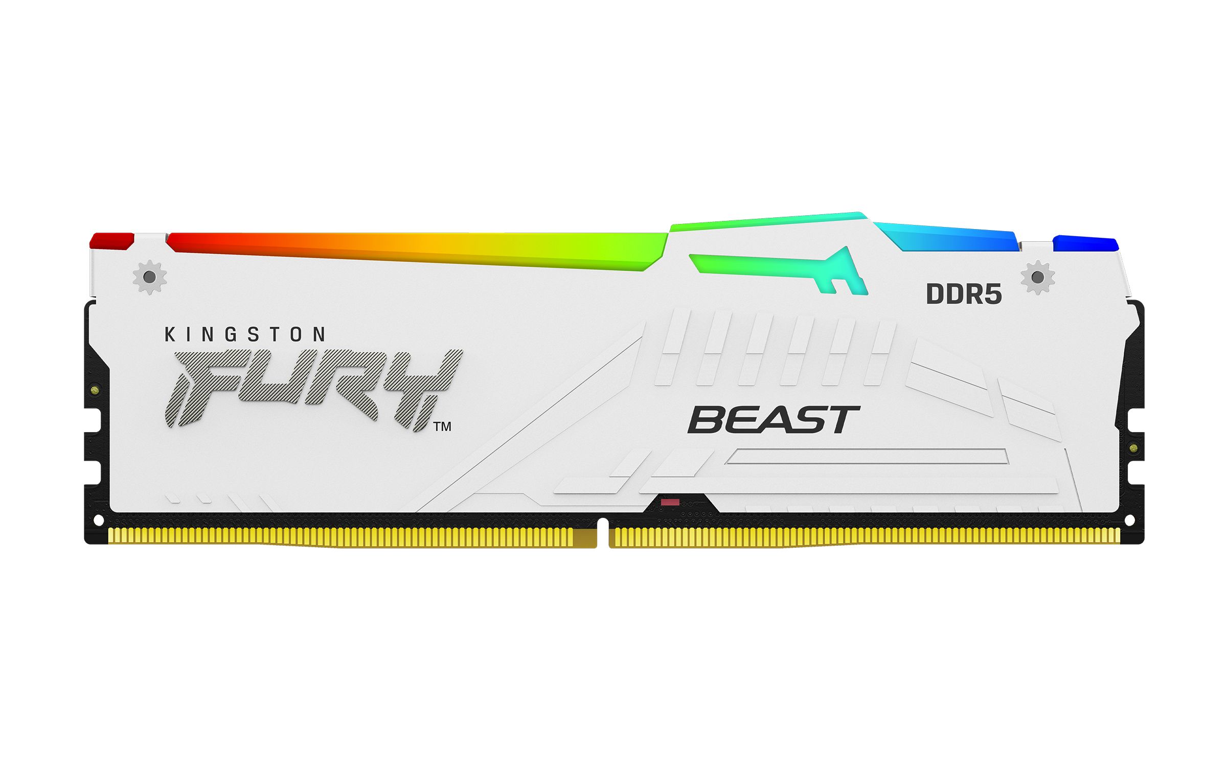 16GB DDR5 6000MT/S CL30 DIMM/FURY BEAST WHITE RGB EXPO_2