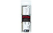 16GB DDR5 6000MT/S CL30 DIMM/FURY BEAST WHITE RGB EXPO_4