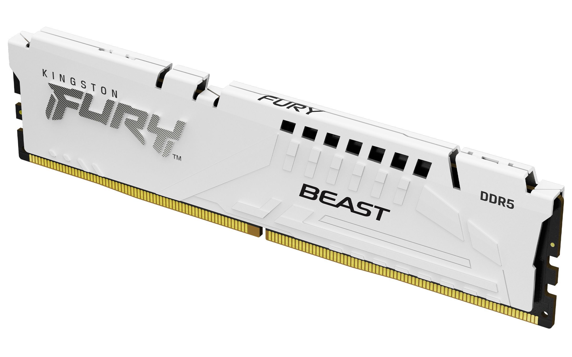 32GB DDR5 6000MT/S CL30 DIMM/FURY BEAST WHITE EXPO_1