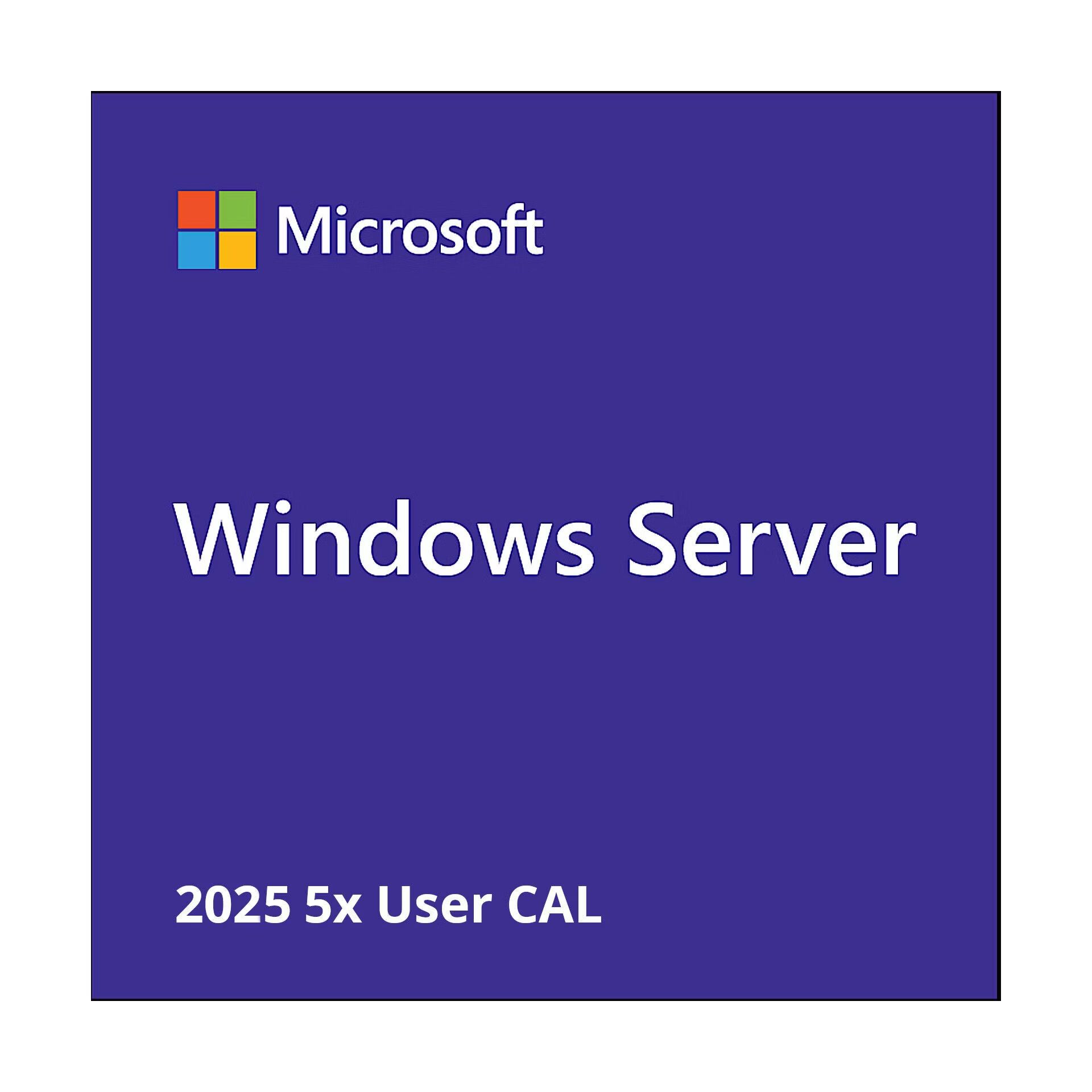 Microsoft Windows Svr CAL 2025 PL Clt User CAL OEM_1