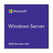 Microsoft Windows Svr CAL 2025 PL Clt User CAL OEM_1