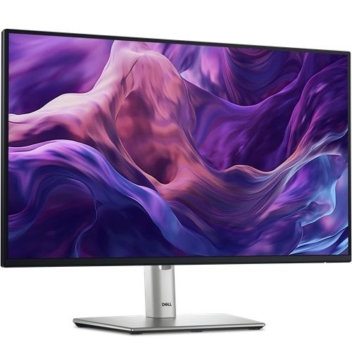 Dell 61.0cm (24 ) P2425HWOST 16:9 HDMI+DP+USB-C IPS no Stand retail_2