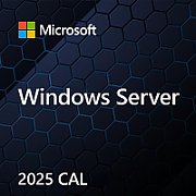 MS Windows Svr CAL 2025 PL Clt Device CAL OEM_1