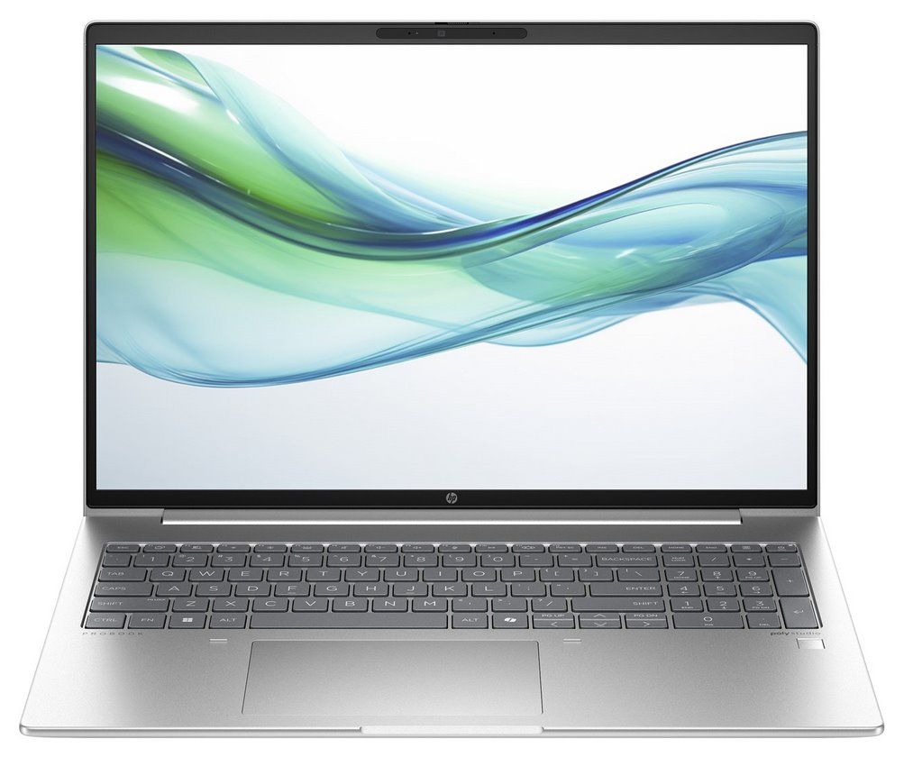 HP ProBook 465 G11 Ryzen 5 7535U 16 WUXGA IPS 300nits AG 16GB DDR5 SSD1TB Radeon 660M 56Wh Win11 Pike Silver 2Y OnSite_4
