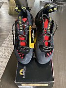 Tarantula black poppy_4