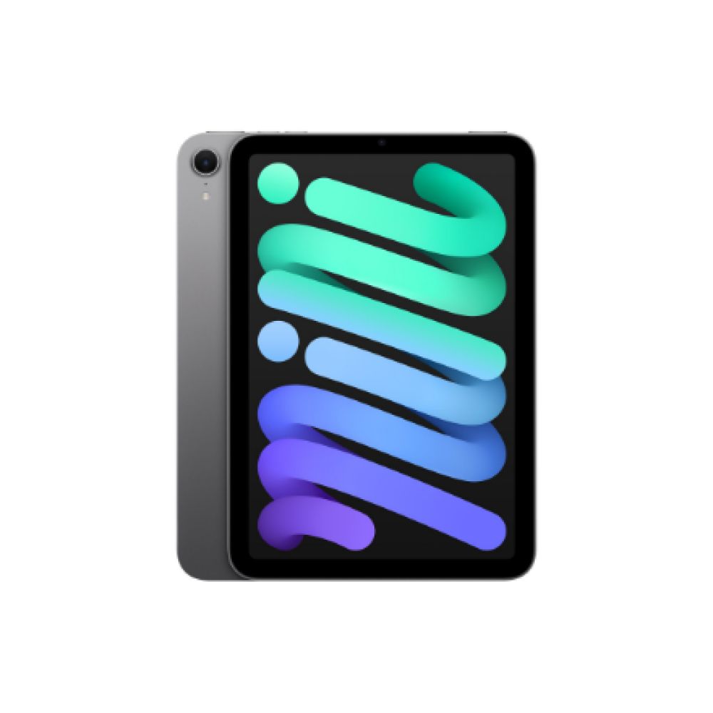 Apple iPad mini Wi-Fi 128GB - Space Grey_1