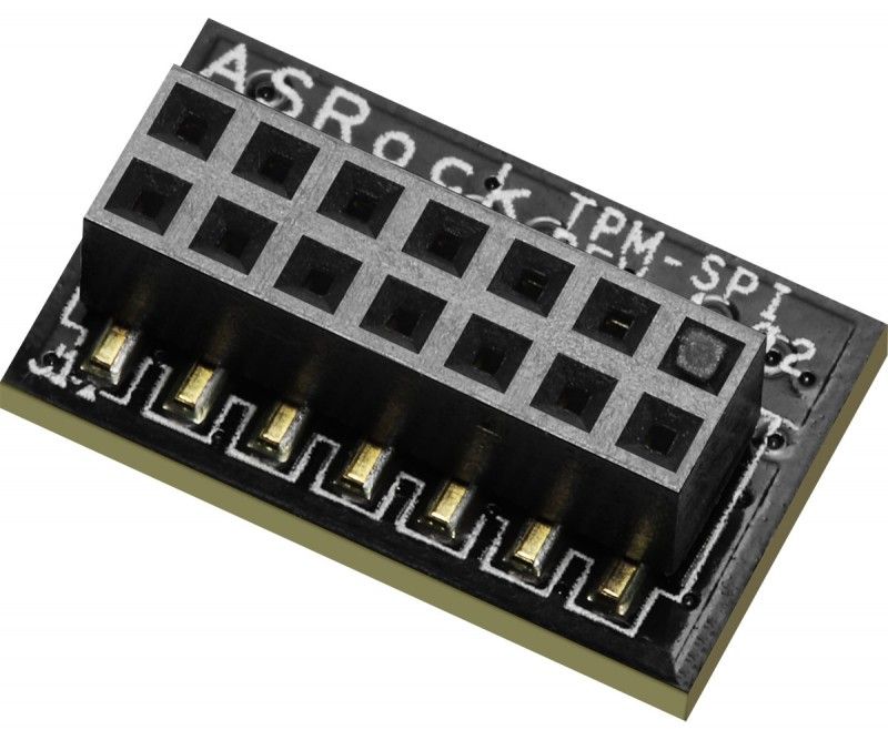 TPM-SPI/INFINEON/BULK_1