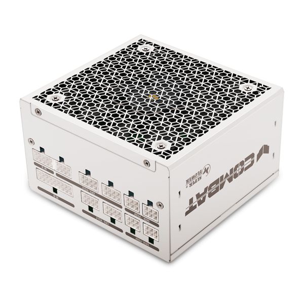 Super Flower Combat FG 80 PLUS Gold  ATX 3.1  modular - 750 Watt power supply_2