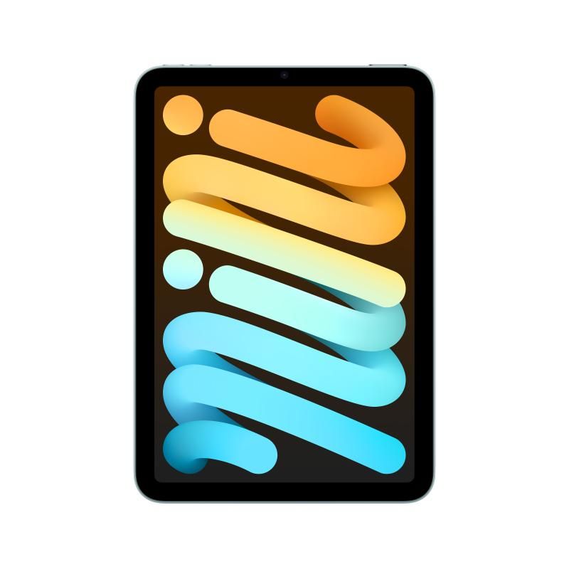 Apple iPad mini Wi-Fi 256GB - Blue_1