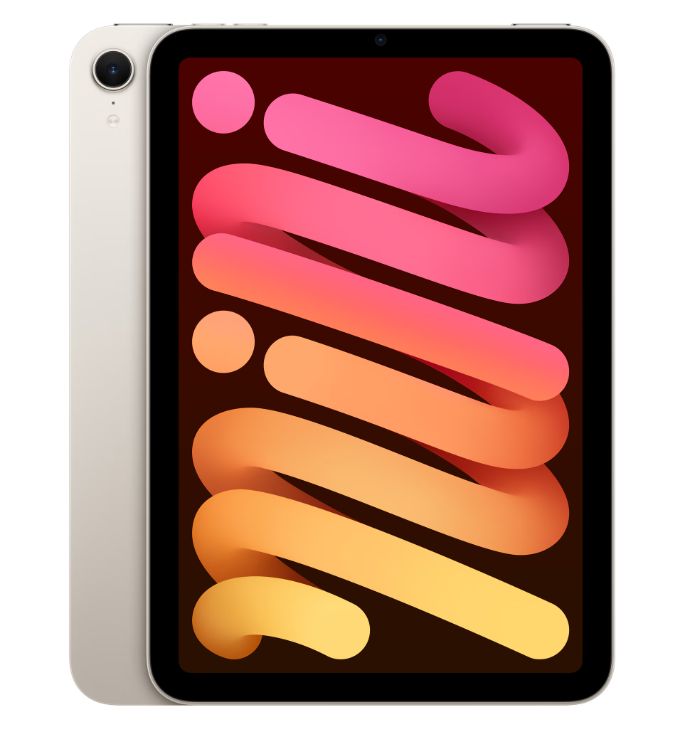 Apple iPad mini Wi-Fi 256GB - Starlight_1