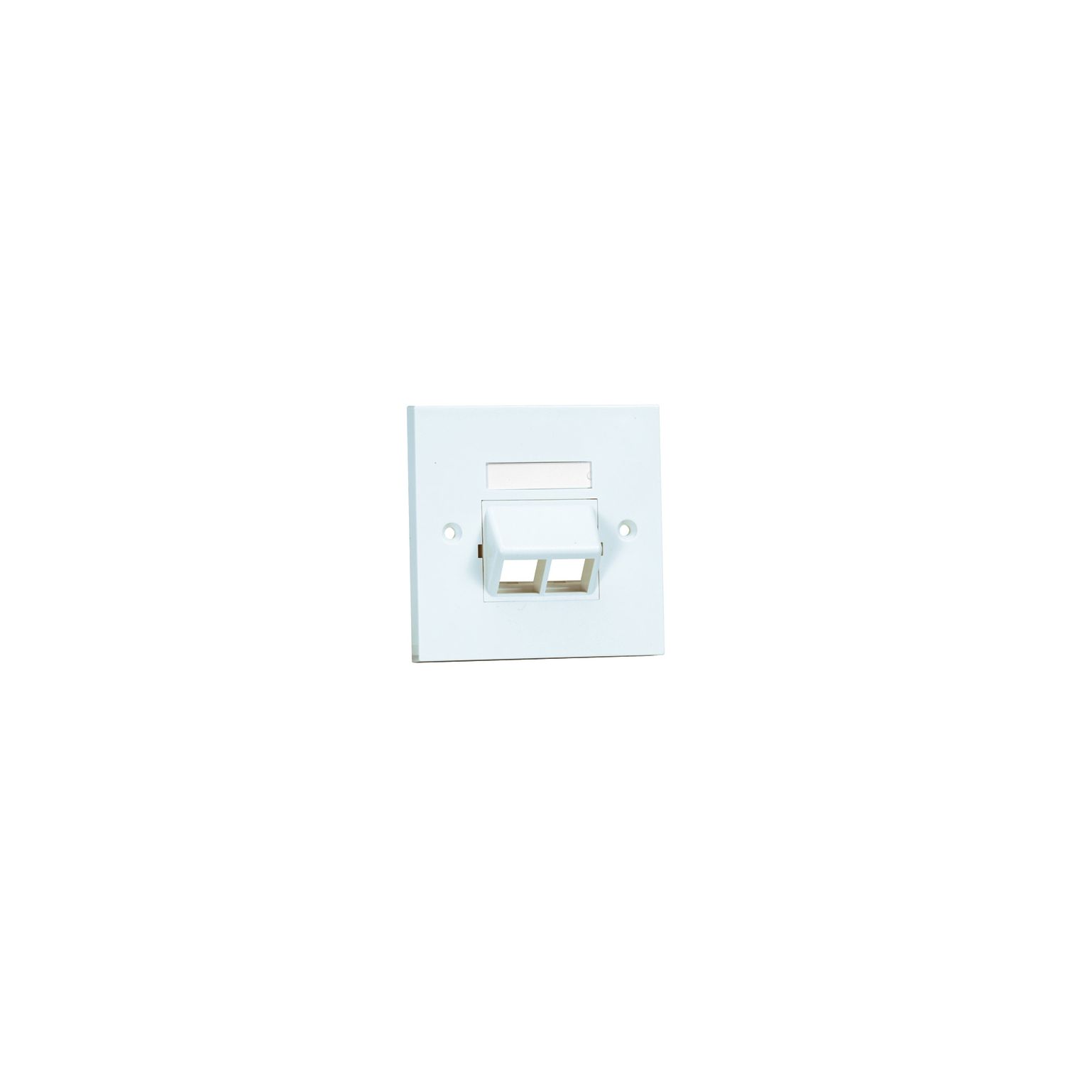 PANDUIT NK 2-port single gang sloped faceplate kit with labels_1