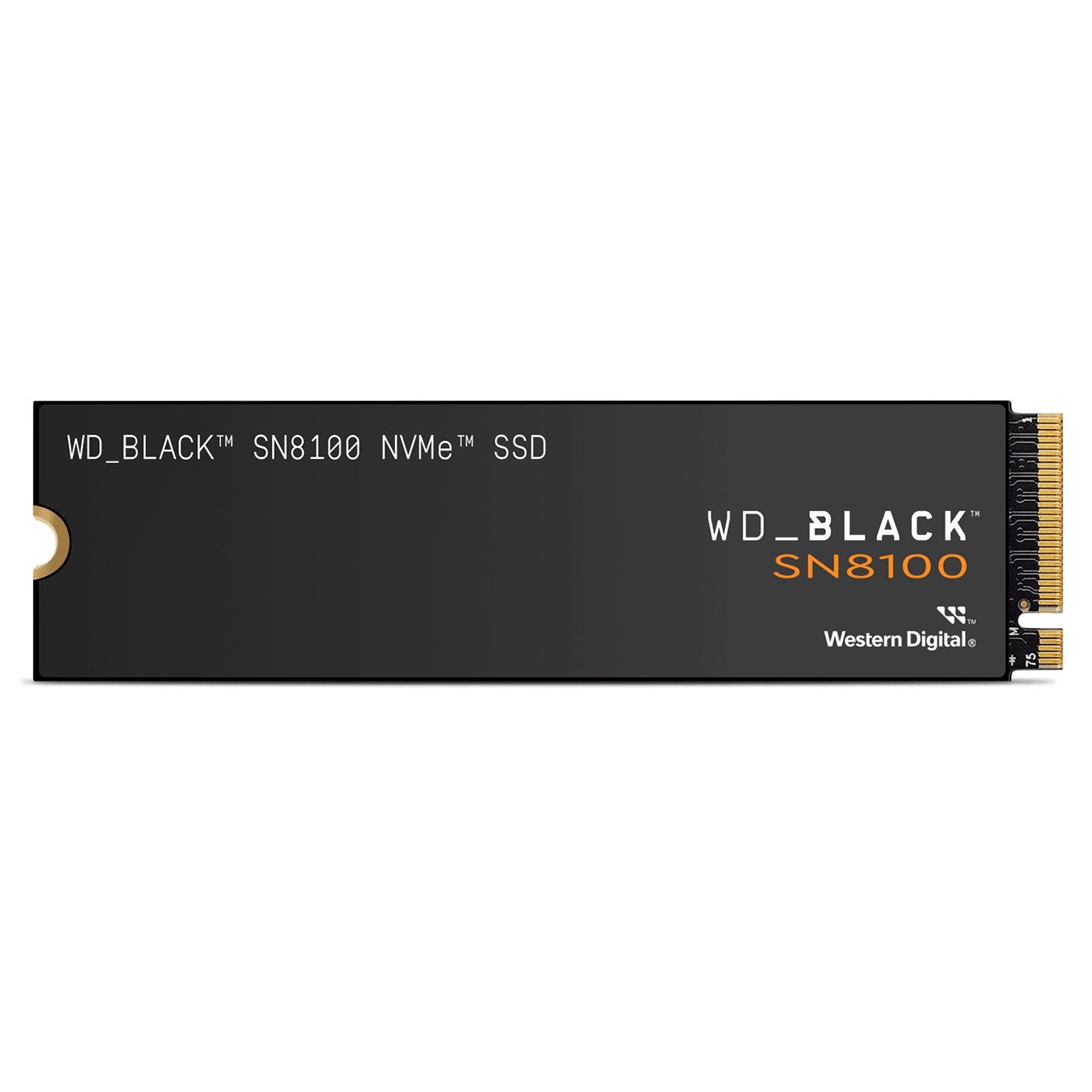 WD SSD M.2 (2280) 1TB Black SN8100 PCIe 5.0/NVMe (Di)_1