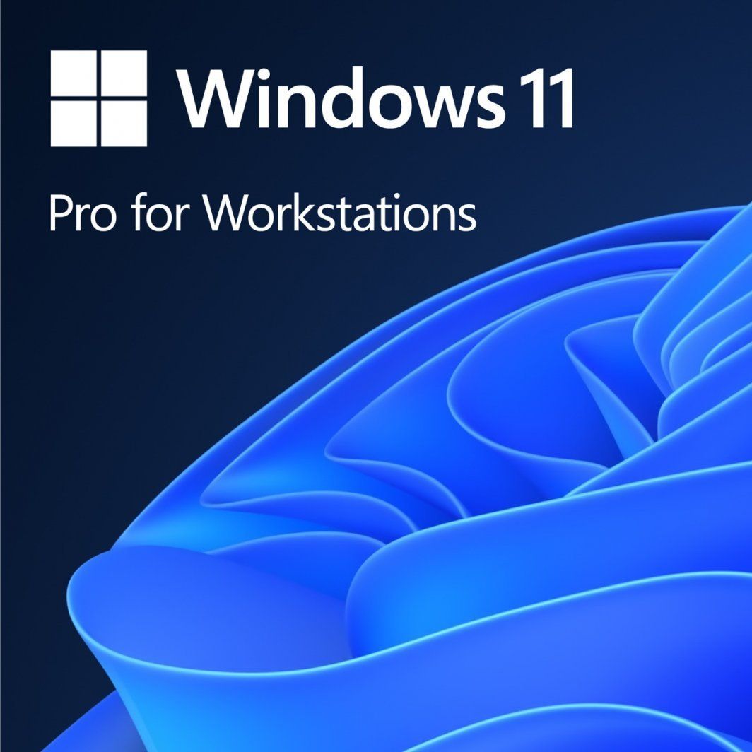 Win Pro for Wrkstns 11 PL x64_1