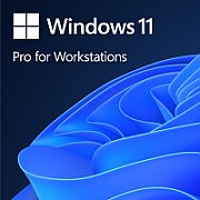 Win Pro for Wrkstns 11 PL x64_1