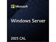 Windows Server CAL 2025 Polish 1pk DSP OEI 1 Clt Device CAL_1