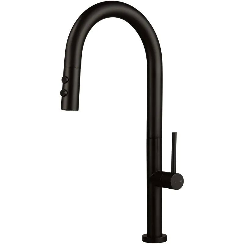 Kitchen faucet with pull-out spout - 2 types of spray_2