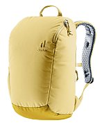 Stepout 16 ginger-turmeric_2