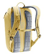 Stepout 16 ginger-turmeric_4