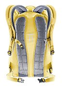 Stepout 22 ginger-turmeric_3