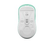 FURY TANTO T4 WIRELESS GAMING MOUSE WIRELESS 12000DPI MINT GAMING_2