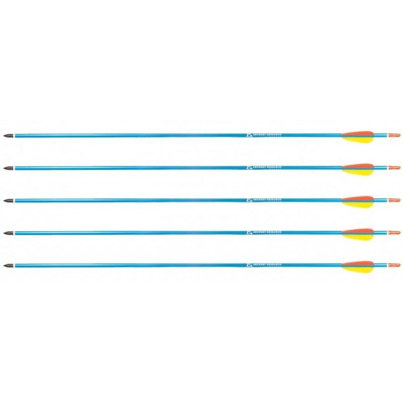 Poe Lang Target 30  D-016-BAluminium arrows 5 pcs Blue_1