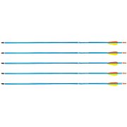Poe Lang Target 30  D-016-BAluminium arrows 5 pcs Blue_1