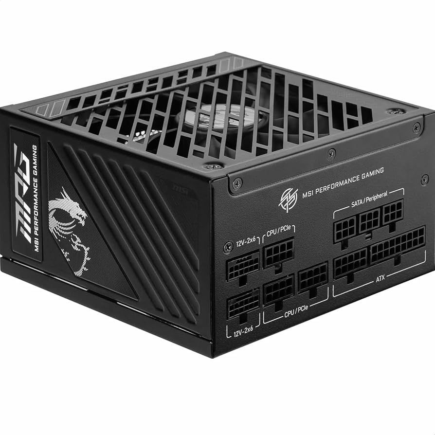 MSI MPG A1250GS 1250W PCIE5 80+ Gold power supply (306-7ZPFX11-CE0)_1